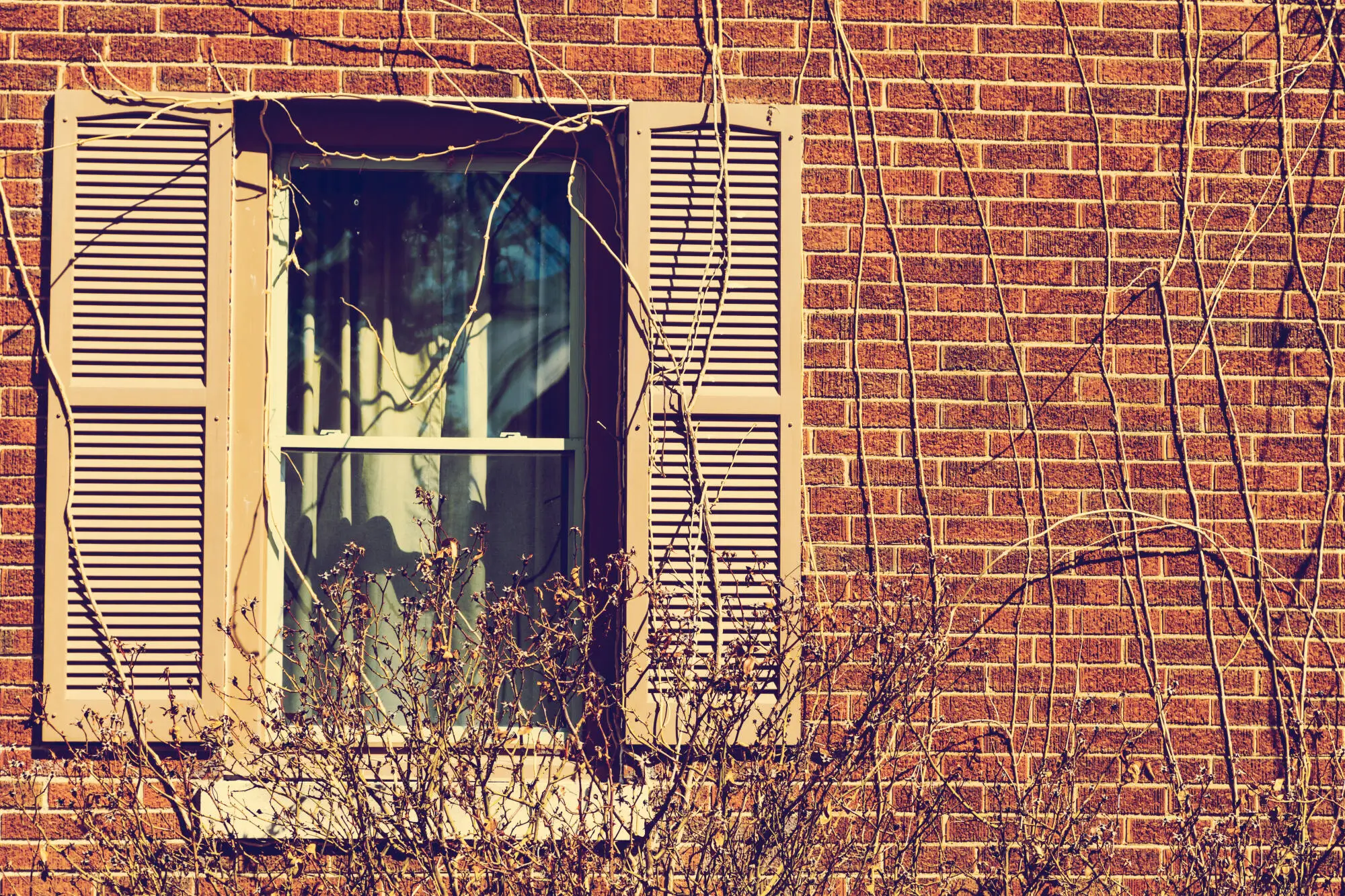 Foreclosures: Exploring Opportunities in Distressed Properties in Clarksville, TN